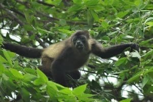 Nicaragua 2017