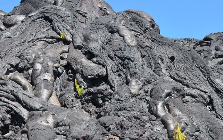 Hawaii Lava Field photo by Glenn McClure